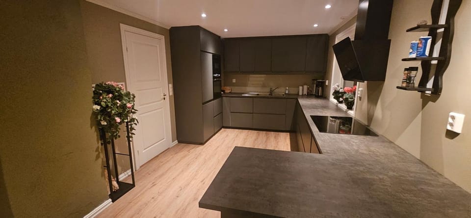 Kitchen or kitchenette, kitchen
