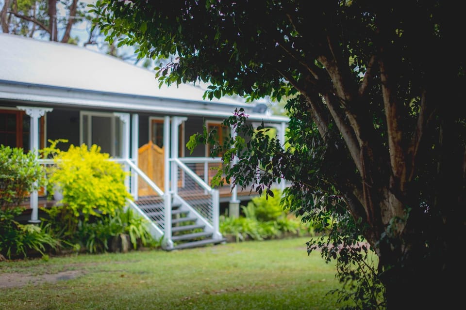 Property building, Garden view