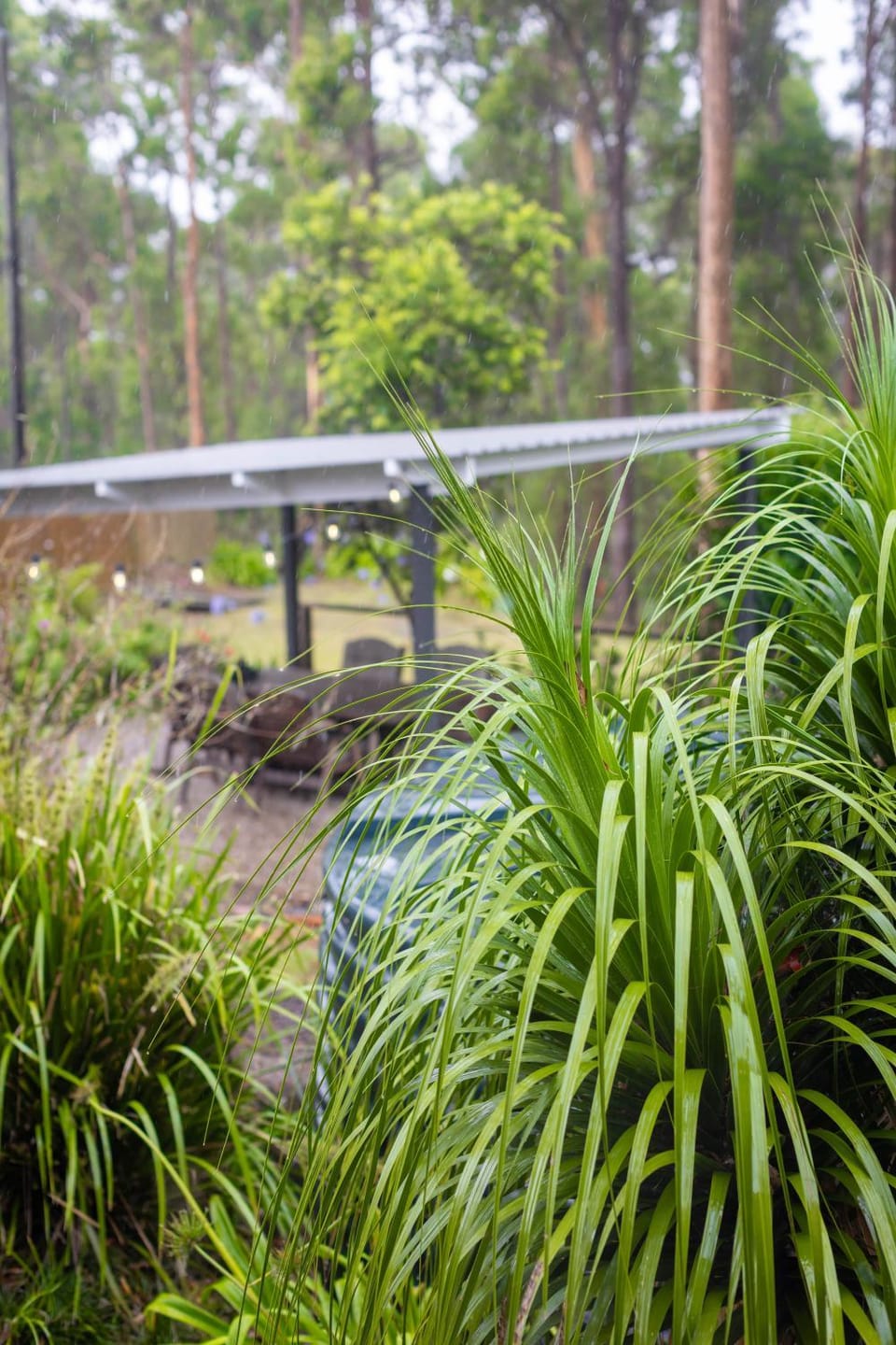 Garden, Garden view