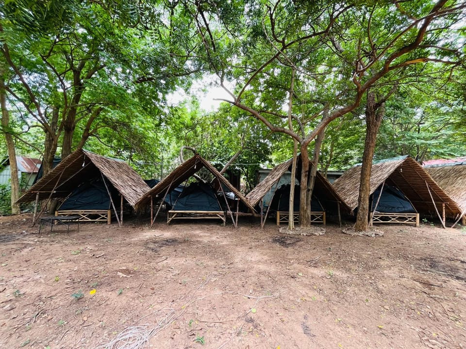 Zulu land Kohlarn Luxury tent in Chon Buri Changwat