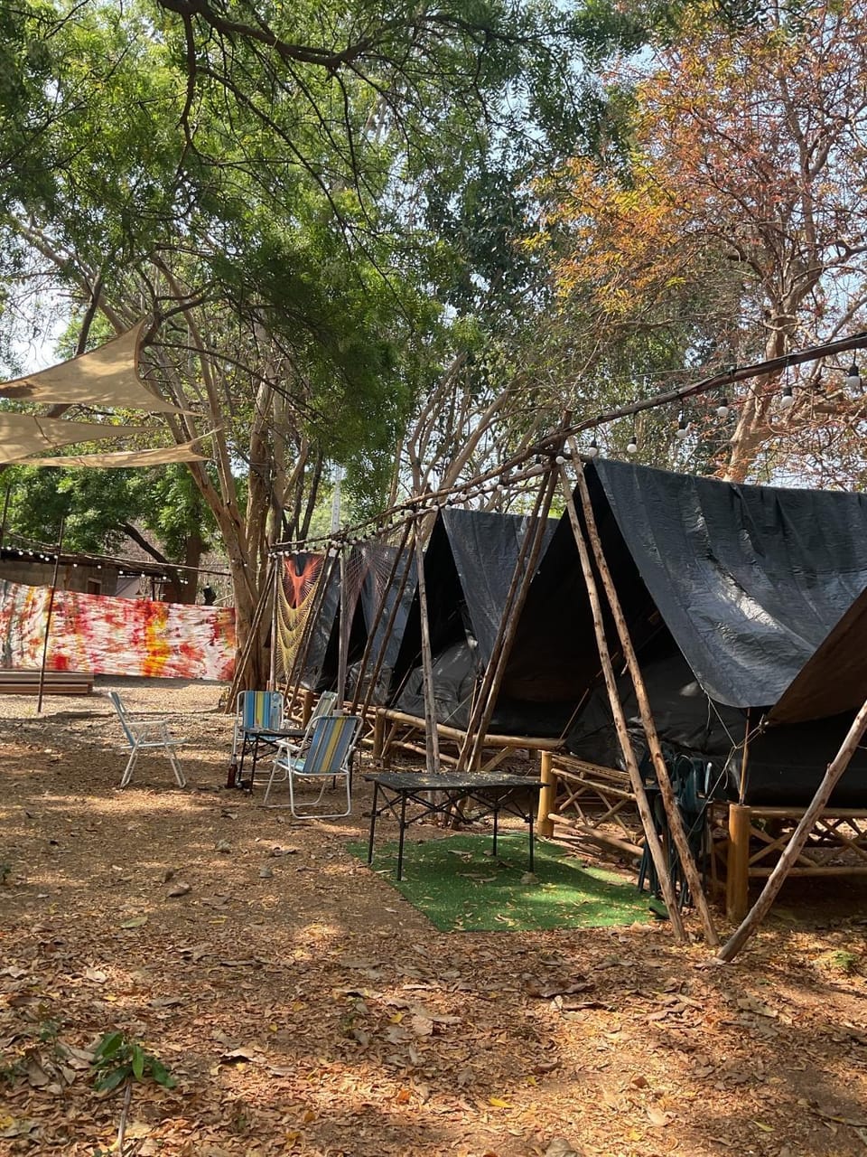 Zulu land Kohlarn Luxury tent in Chon Buri Changwat