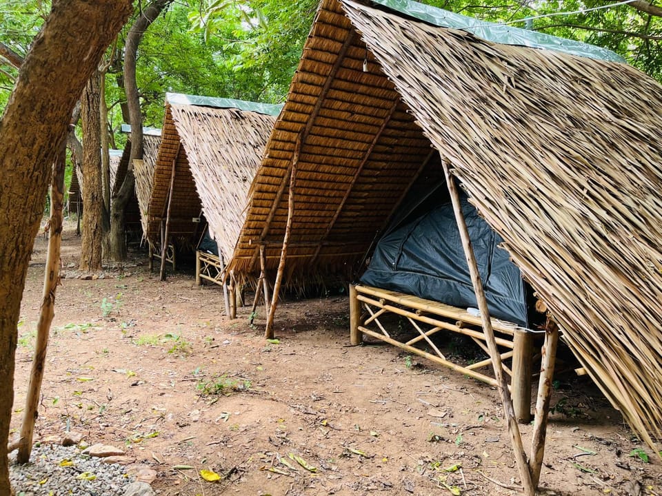 Zulu land Kohlarn Luxury tent in Chon Buri Changwat