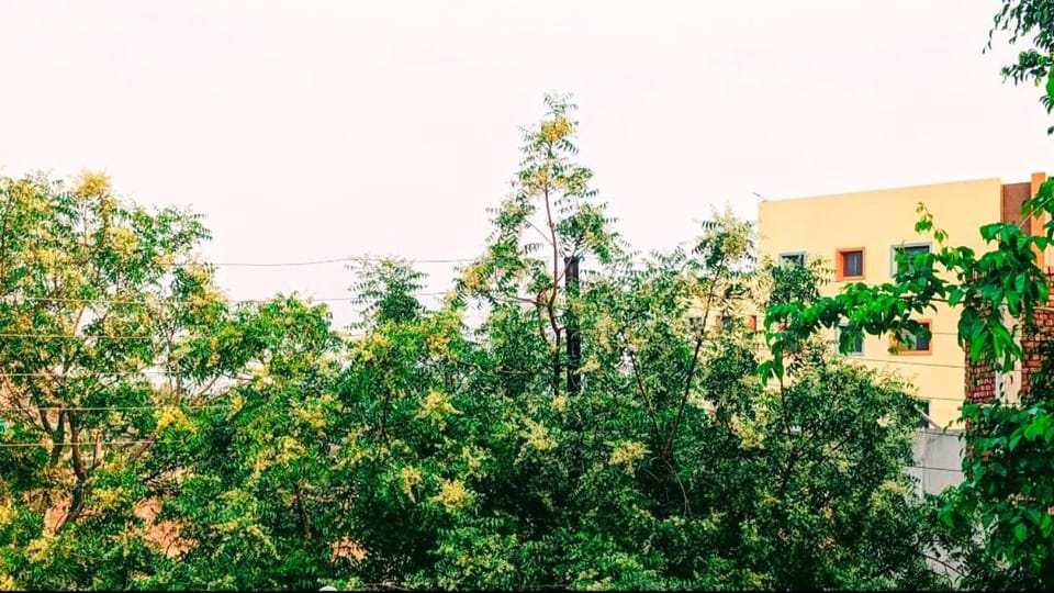 Medhavani Greens Stay near Krishna Janambhoomi Apartment in Uttar Pradesh