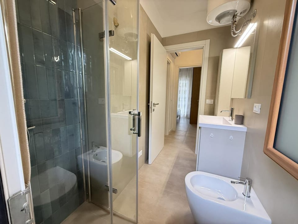 Shower, Toilet, Bathroom, bidet