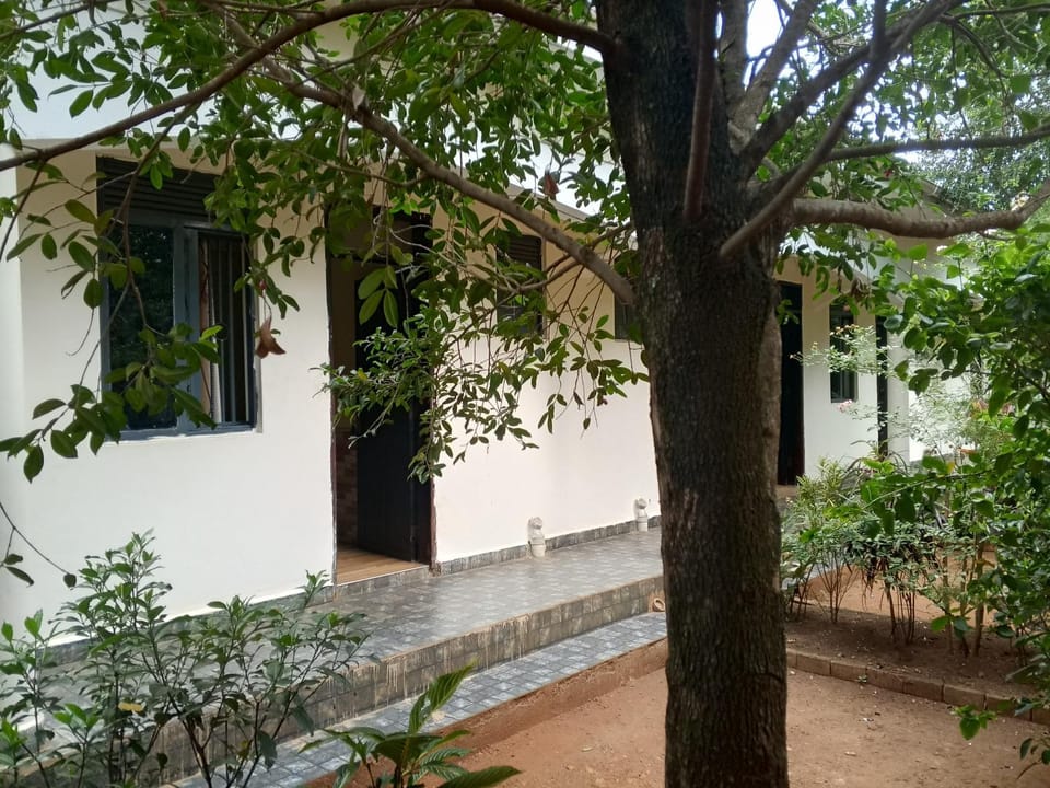 La woods guest house Nature lodge in Uganda