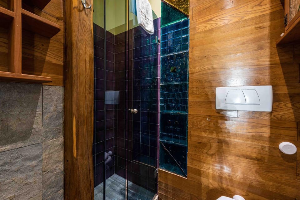 Shower, Toilet, Bathroom, hair dryier