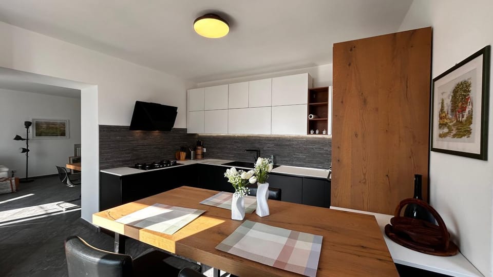 Kitchen or kitchenette, kitchen