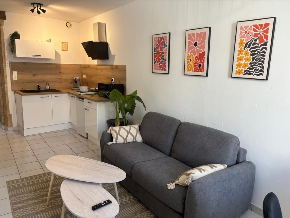 L'Ecrin Léopold - Centre ville Apartment in Provence