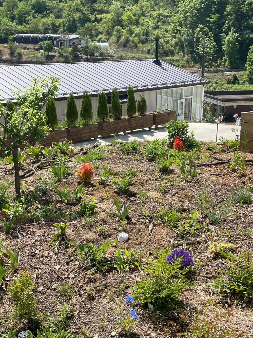 Garden, Garden view