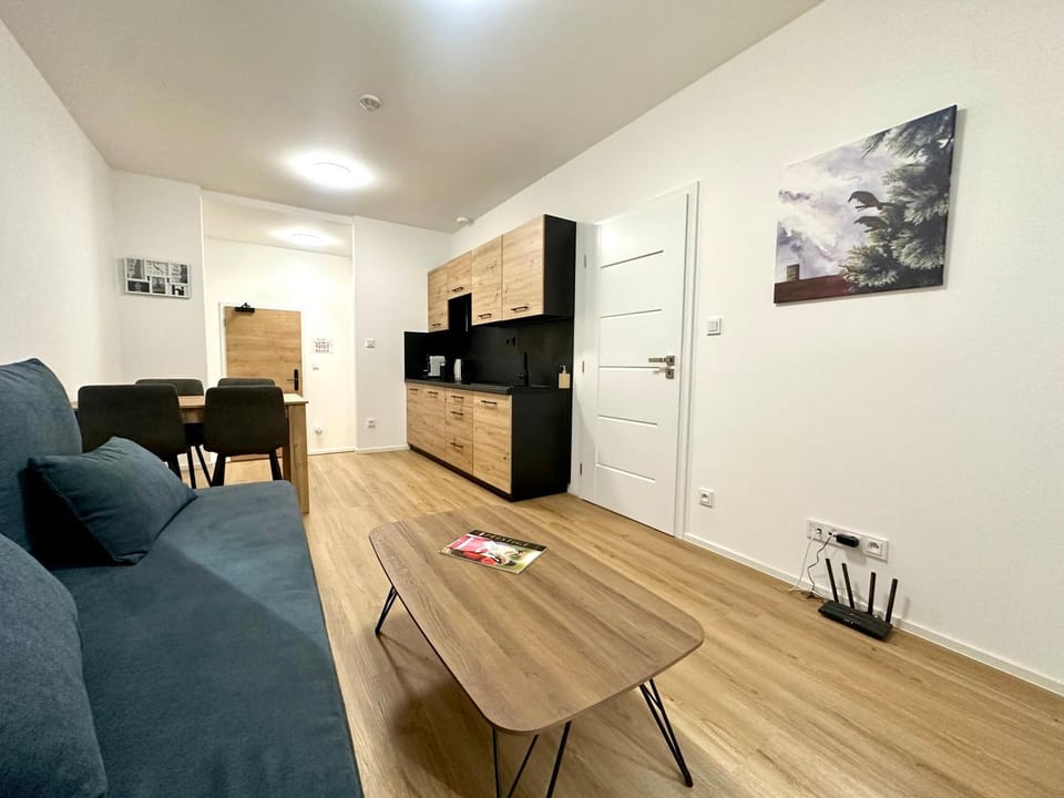 Apartman Marianská hora Apartment in Czechia
