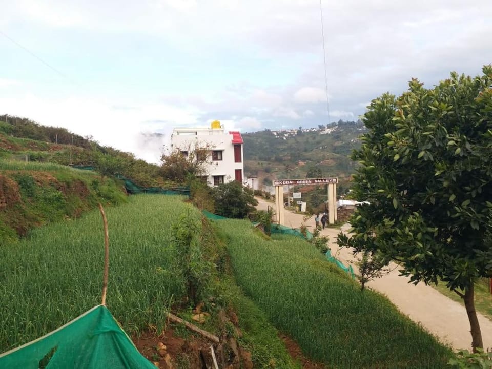 The Family Nest, Kodaikanal House in Tamil Nadu