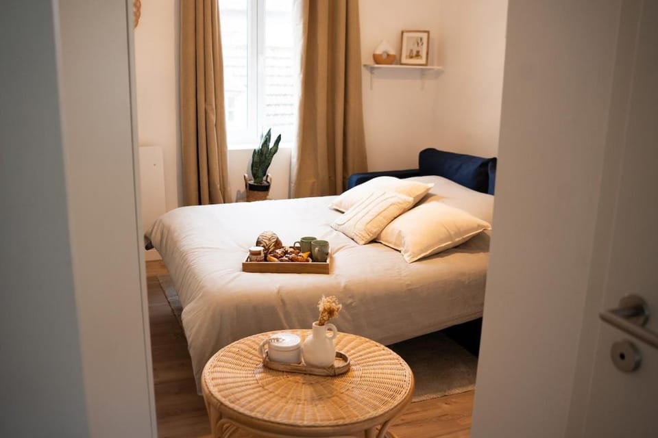 Le Petit Cocon l Cozy studio in Metz Apartment in Metz