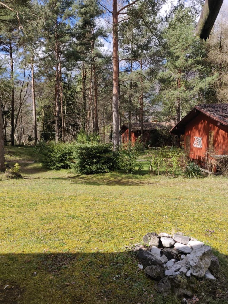 Spring, Day, Natural landscape, Garden, Garden view