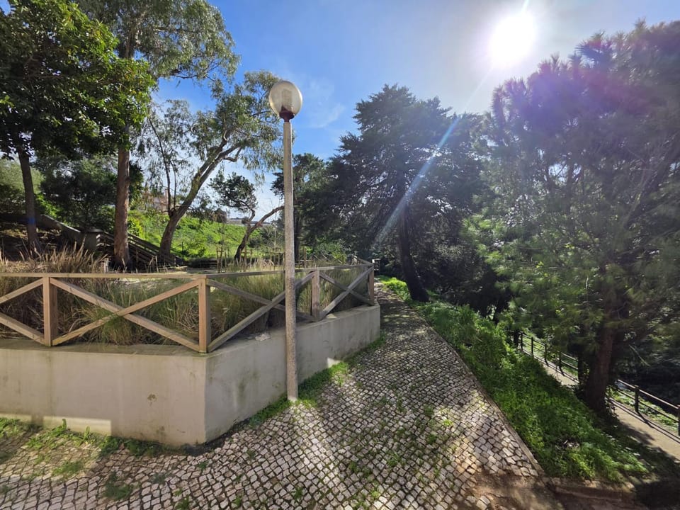 View (from property/room), Garden view