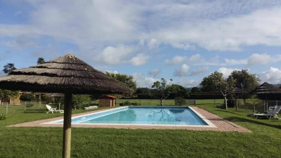 Spring, Natural landscape, Garden view, Pool view, Swimming pool, sunbed