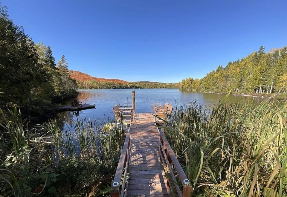 Lake view