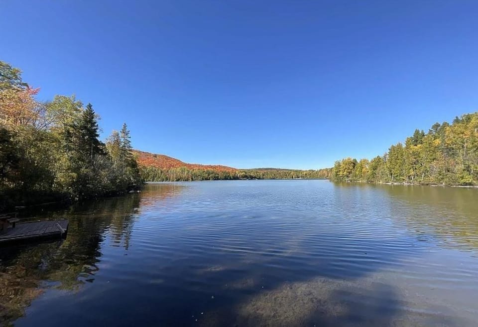 Lake view