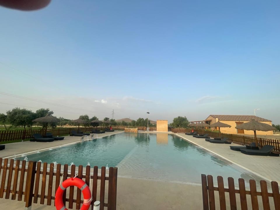 Swimming pool, Swimming pool