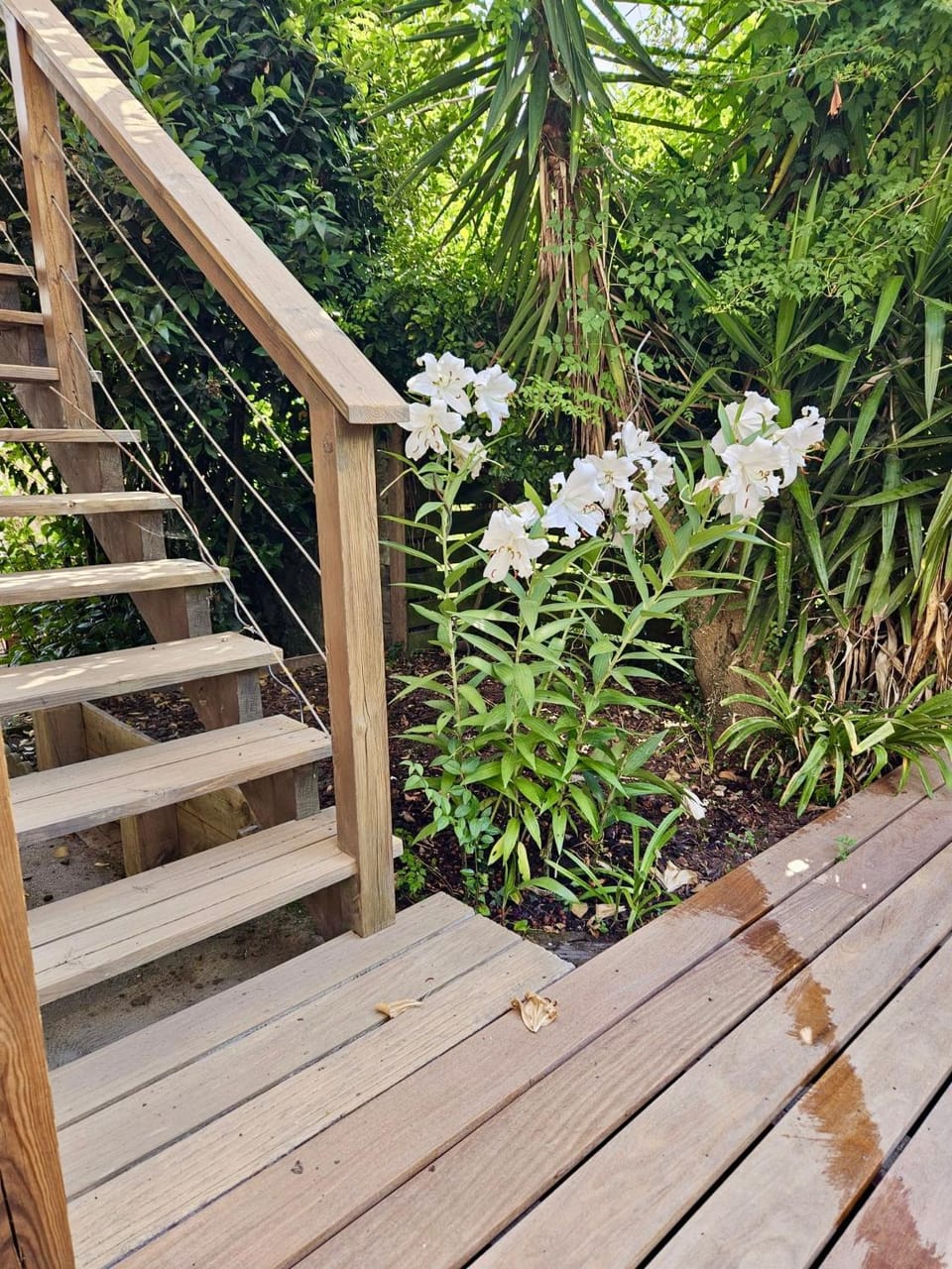 Maison et jardin Bed and Breakfast in Bayonne