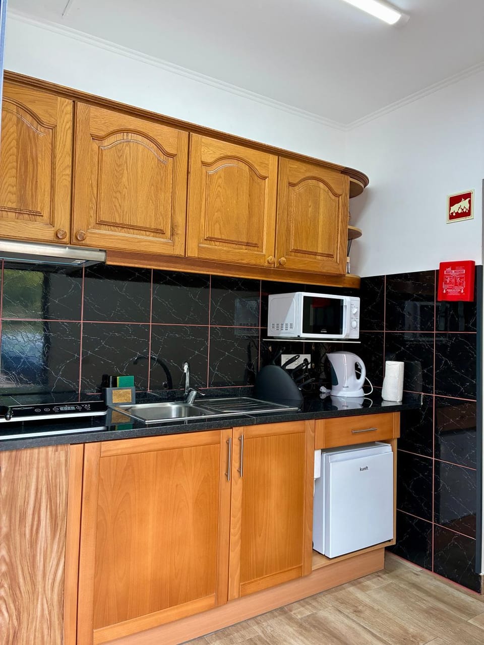 Coffee/tea facilities, Kitchen or kitchenette, minibar, stove