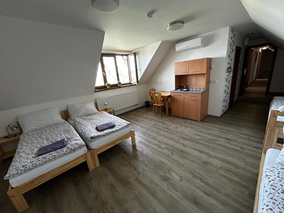 Penzion U Ježka Bed and Breakfast in South Moravian Region