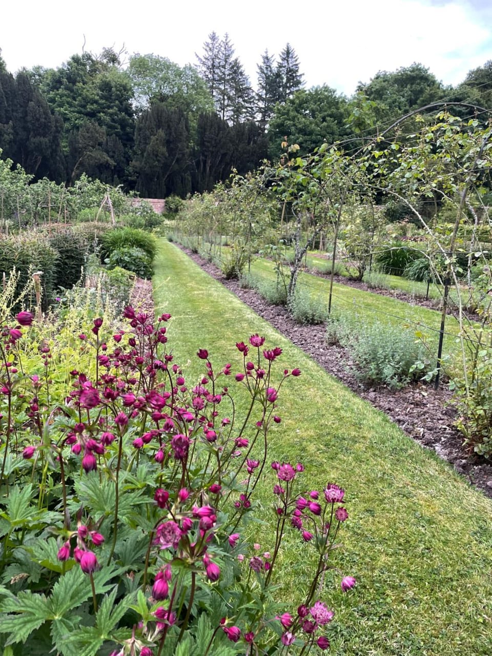 Garden, Garden, Garden view