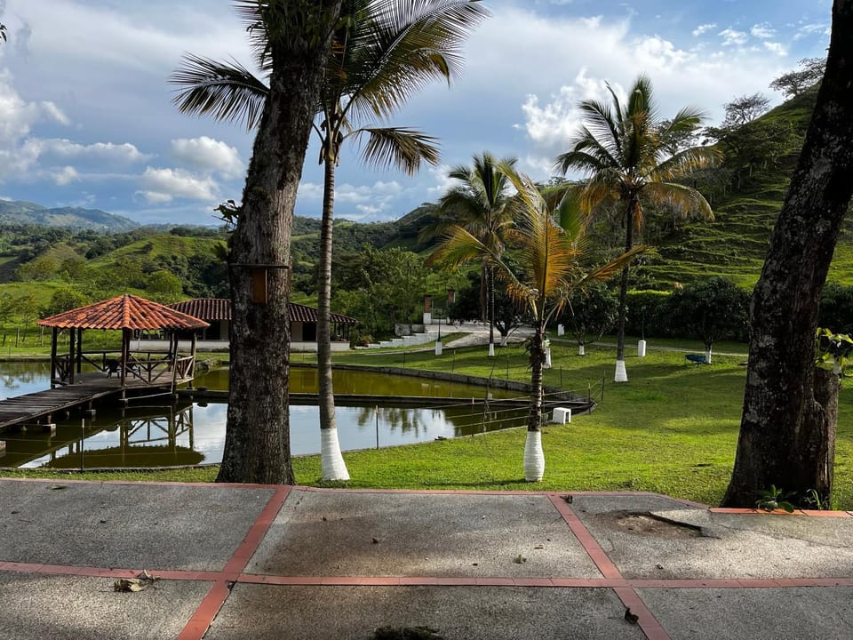 Lake view