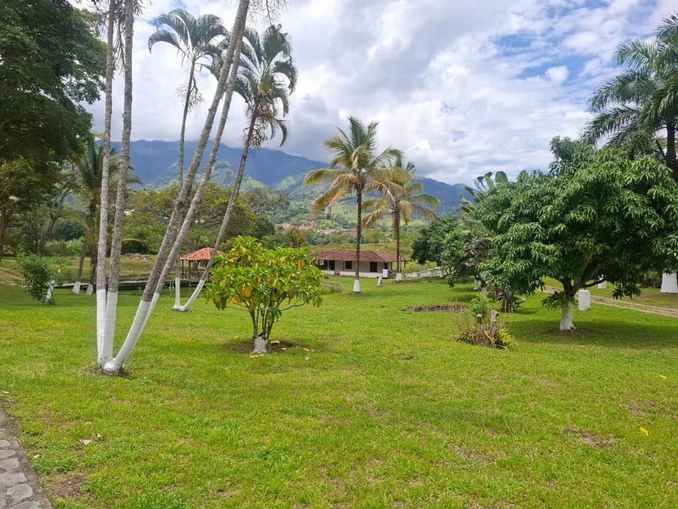 Garden view