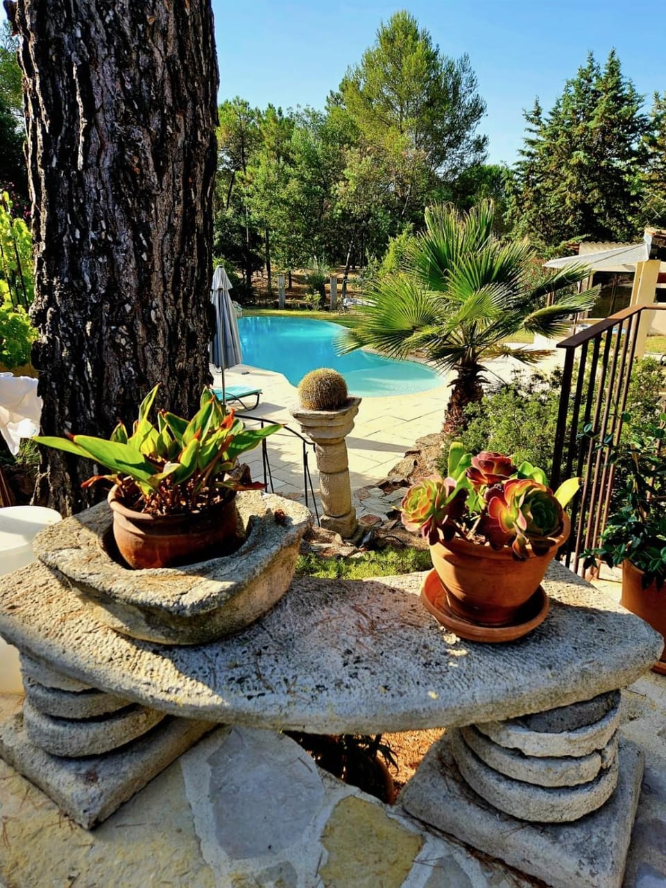 Pool view