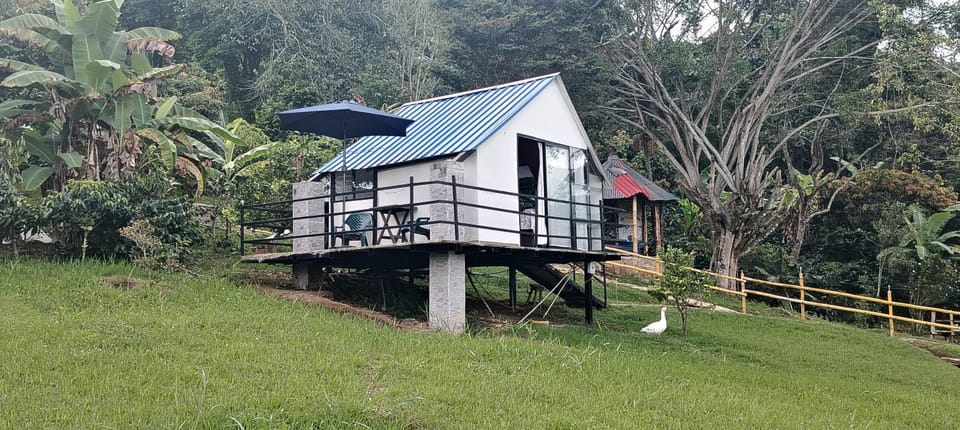 Cabaña jacuzi interno Luxury tent in Cundinamarca, Colombia
