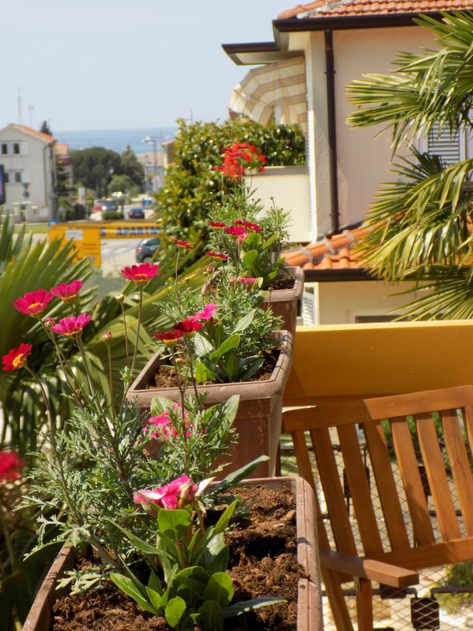 Sea view