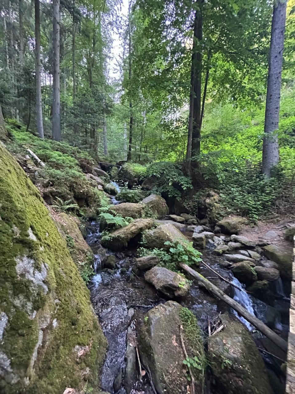 Natural landscape, Aqua park, Hiking, Hiking