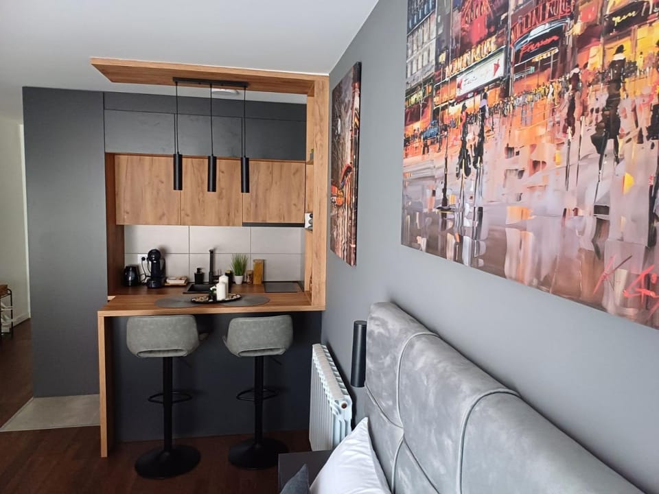 The Little Haven Apartment in Serbia