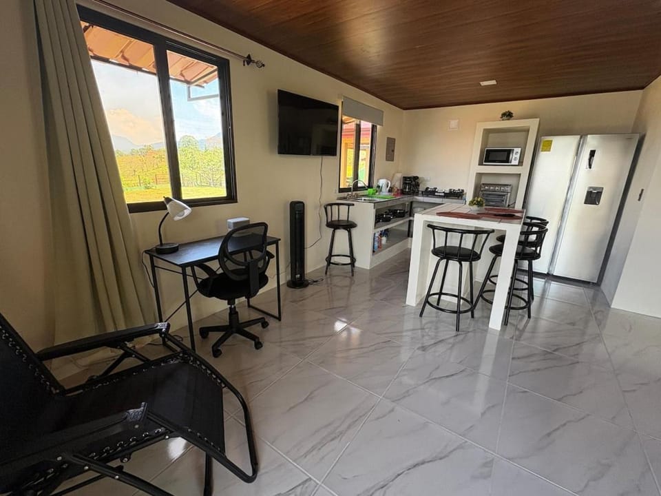 Kitchen or kitchenette, Dining area, oven, stove, toaster