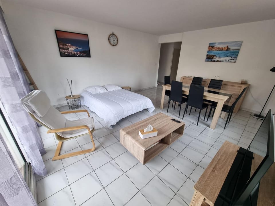 Appartement Climatisé Familial avec Parking à Collioure Apartment in Collioure