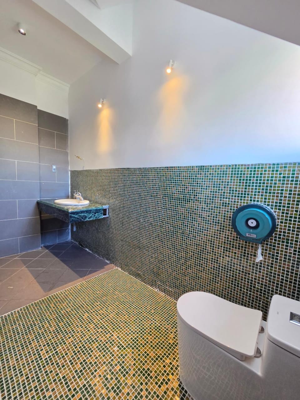 Toilet, Bathroom