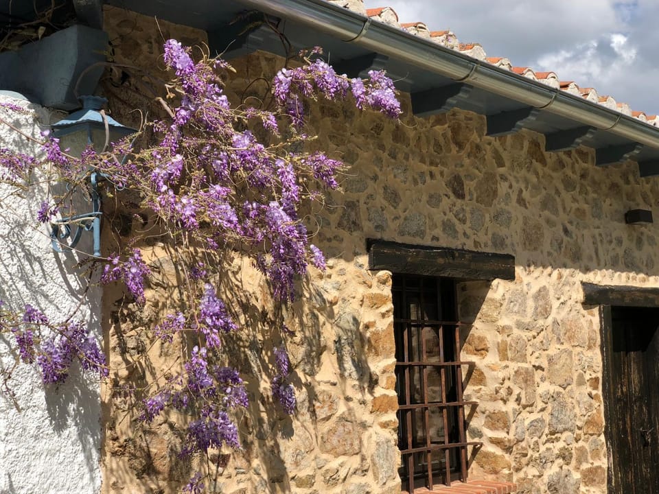 La Casita Del Castañar House in Béjar