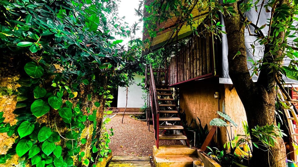 Yala Savanna Leopard Lodge Nature lodge in Southern Province