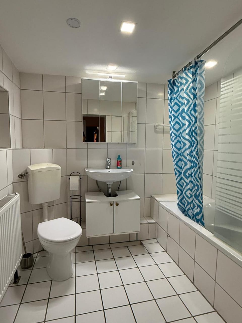 Shower, Toilet, Bathroom, Bath