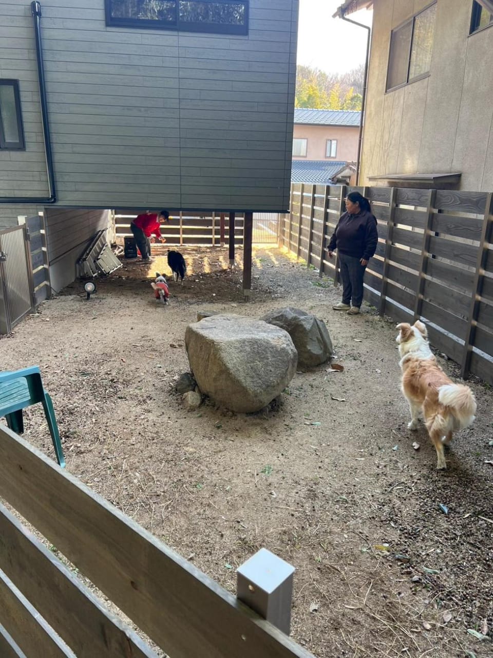 Patio, Day, Animals
