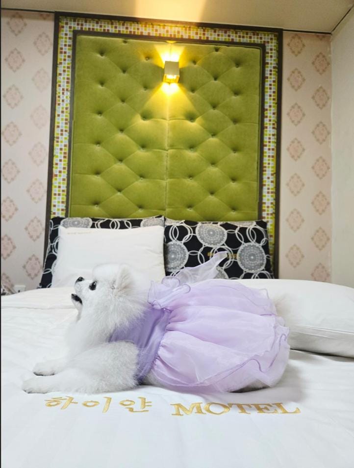 하이얀모텔 Hotel in South Korea