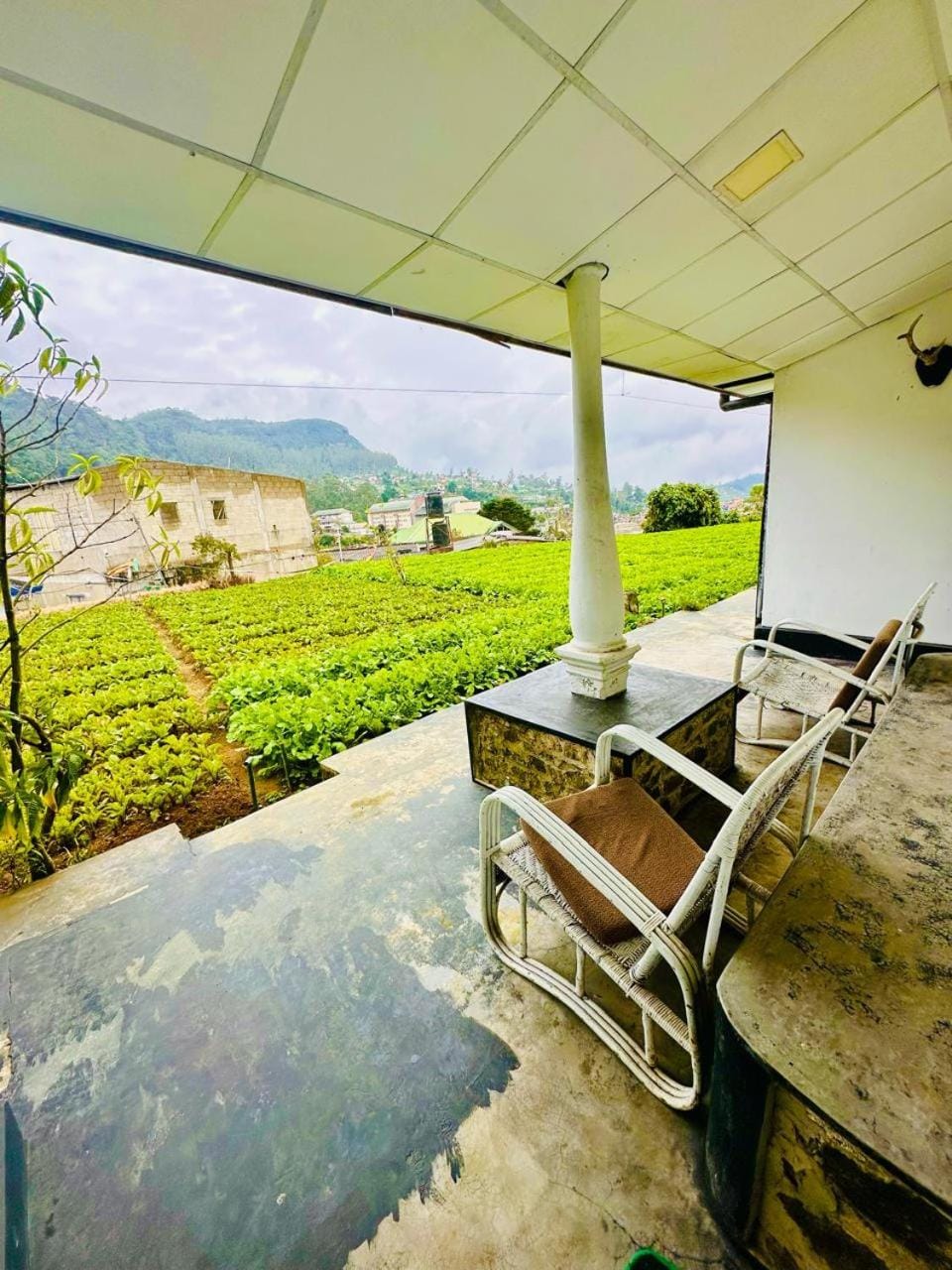 Natural landscape, View (from property/room), Balcony/Terrace, Mountain view