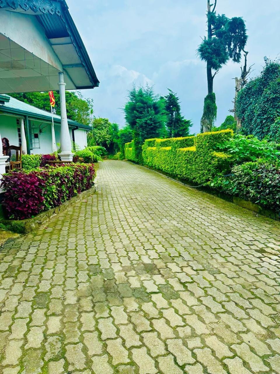 Silver Meir Villa Hotel in Nuwara Eliya