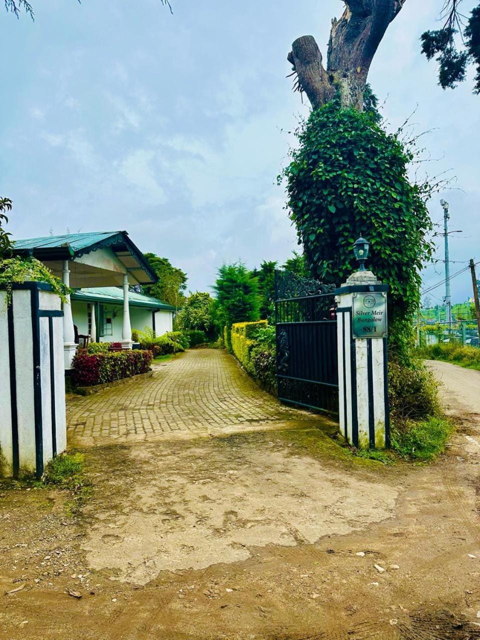 Property building, Garden, Garden view