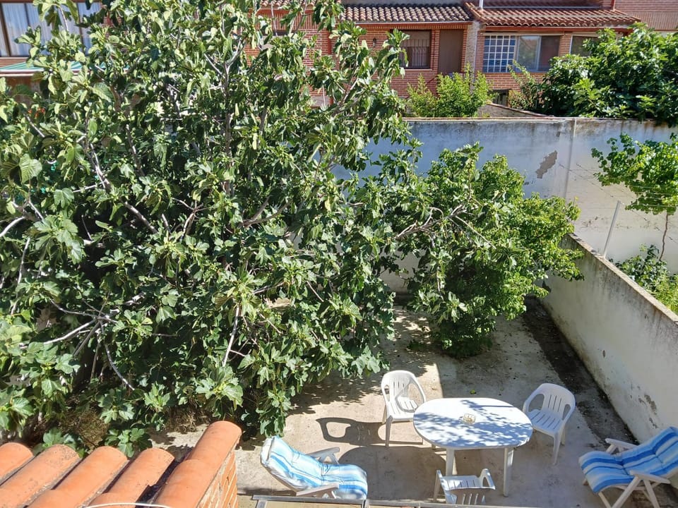 Patio, Balcony/Terrace, Balcony/Terrace