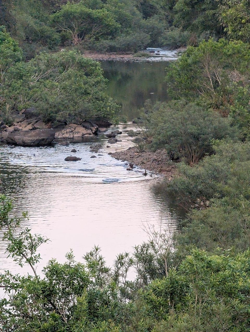 Whispering Mud Resort Nature lodge in Goa, India