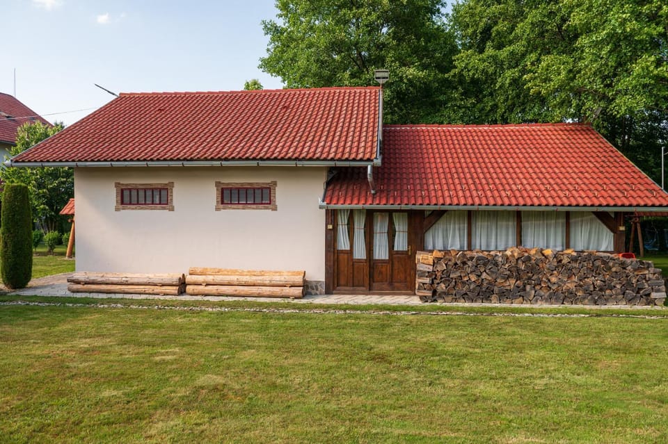 Pensiunea Denisa Bed and Breakfast in Brașov County
