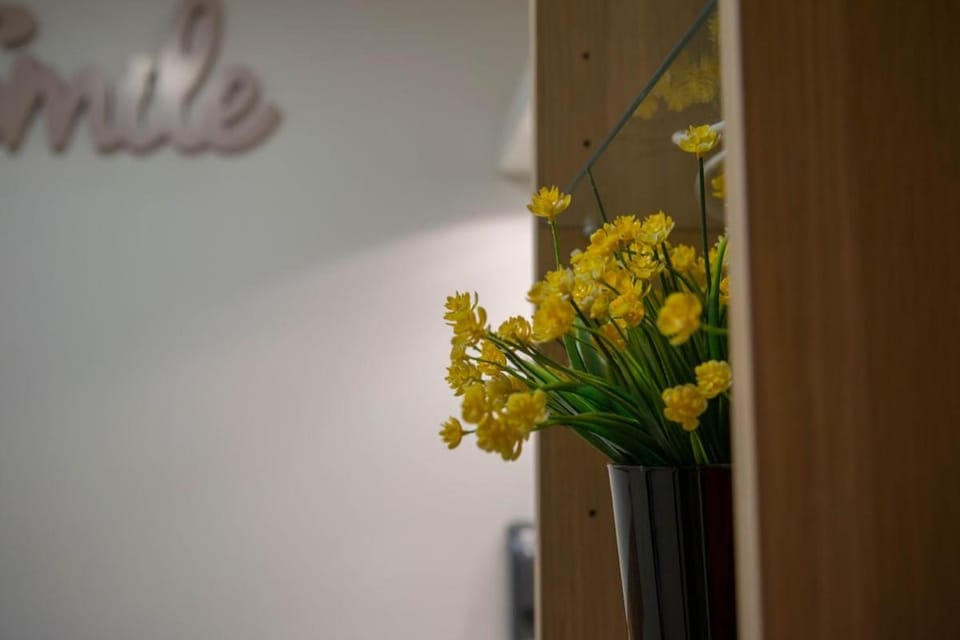 Nid Douillet aux Portes de Paris Apartment in Saint-Maur-des-Fossés