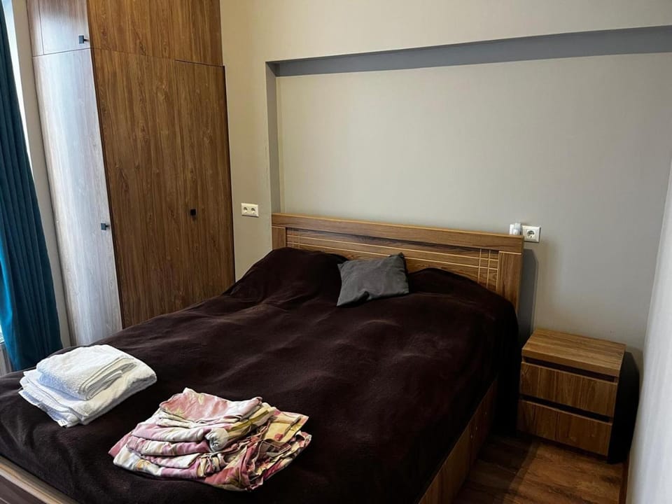 Home in Bakuriani House in Georgia