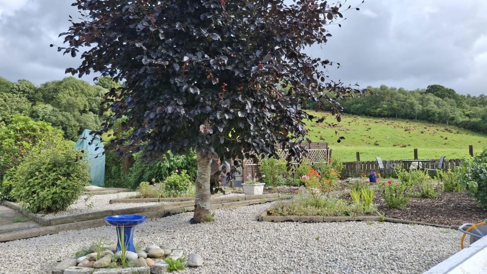 Summer, Garden